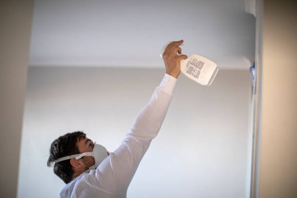Best Certified Mold Removal  in Maria Stein, OH