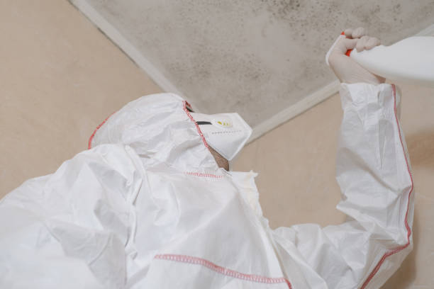 Best Crawl Space Mold Removal  in Maria Stein, OH